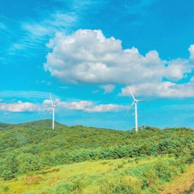 迈阿密夏日派对游戏下载